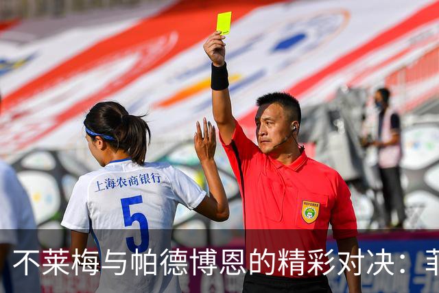 不莱梅与帕德博恩的精彩对决：菲尔克鲁格狂欢，拳击手马里诺也来插一脚！